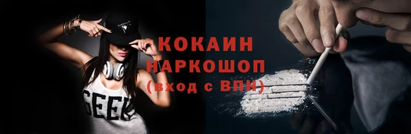 хмурый Алексин