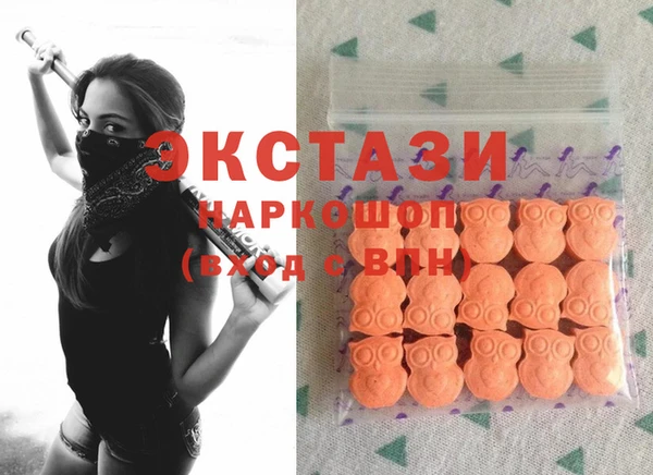 хмурый Алексин
