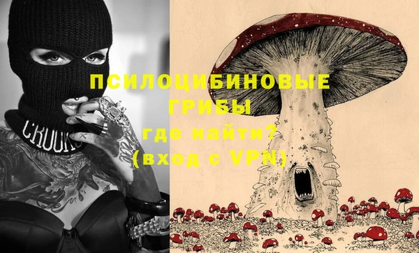 мет Корсаков